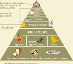 https://www.sante-decouverte.com/wp-content/uploads/imgsd/5fbd05a5dce538d888d247ac95008a22th.jpg