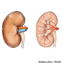https://www.sante-decouverte.com/wp-content/uploads/imgsd/cancer-du-rein-la-cryotherapie-plutot-que-l-ablation_s.jpg