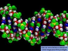 https://www.sante-decouverte.com/wp-content/uploads/imgsd/le-sequencage-du-genome-pour-tout-le-monde-c-est-pour-demain_s.jpg
