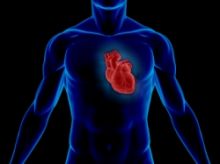 https://www.sante-decouverte.com/wp-content/uploads/imgsd/les-algues-pour-guerir-les-maladies-cardiaques_s.jpg